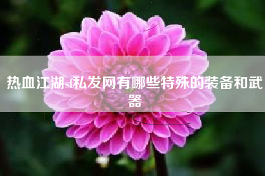 热血江湖sf私发网有哪些特殊的装备和武器