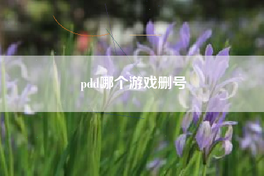 pdd哪个游戏删号