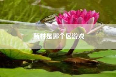 新村是哪个区游戏