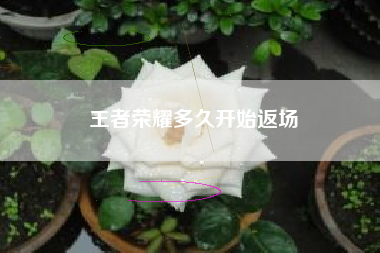 王者荣耀多久开始返场