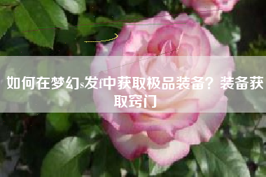 如何在梦幻s发f中获取极品装备？装备获取窍门