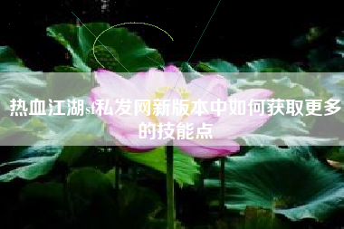 热血江湖sf私发网新版本中如何获取更多的技能点