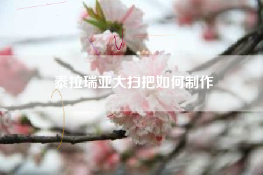 泰拉瑞亚大扫把如何制作
