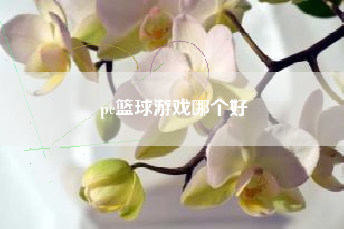 pc篮球游戏哪个好