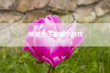 精灵王子是哪个游戏