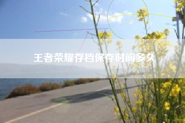 王者荣耀存档保存时间多久
