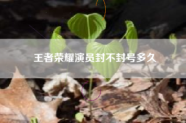 王者荣耀演员封不封号多久