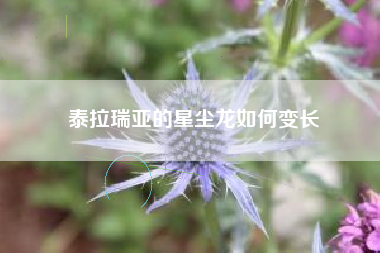 泰拉瑞亚的星尘龙如何变长