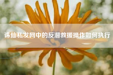 诛仙私发网中的反潜救援操作如何执行