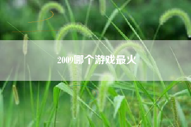 2009哪个游戏最火