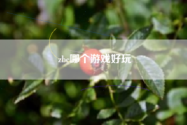 zbc哪个游戏好玩