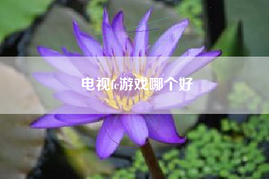 电视fc游戏哪个好