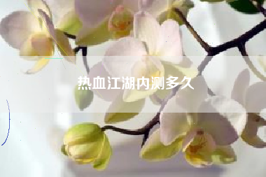 热血江湖内测多久