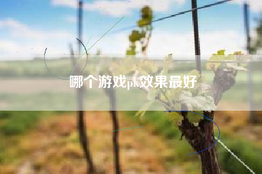 哪个游戏pk效果最好