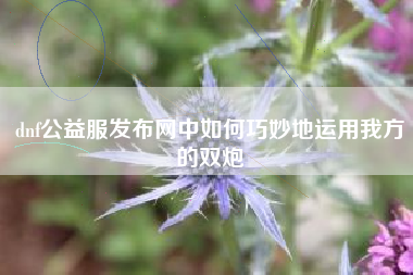 dnf公益服发布网中如何巧妙地运用我方的双炮