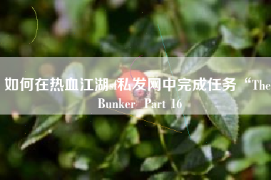 如何在热血江湖sf私发网中完成任务“The Bunker  Part 16