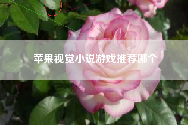 苹果视觉小说游戏推荐哪个