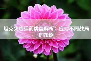 坦克火炮弹药类型解析：应对不同战局的策略