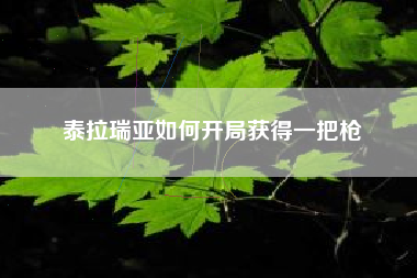 泰拉瑞亚如何开局获得一把枪