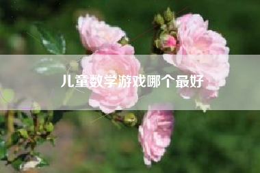 儿童数学游戏哪个最好