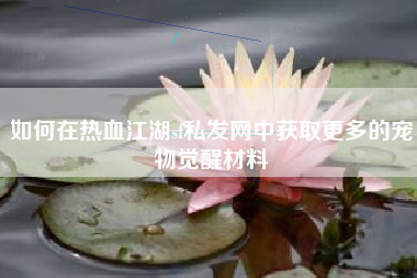 如何在热血江湖sf私发网中获取更多的宠物觉醒材料