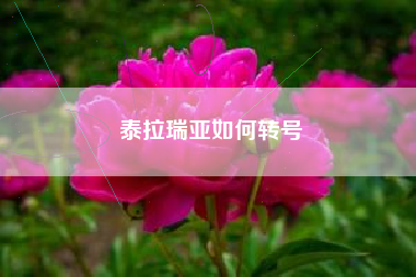 泰拉瑞亚如何转号