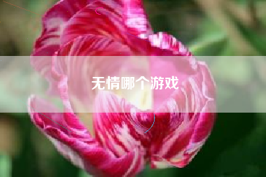 无情哪个游戏