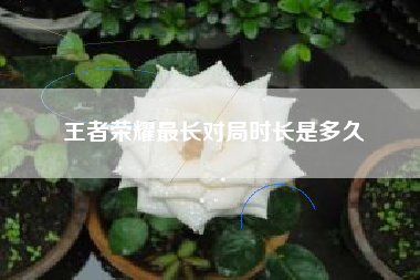 王者荣耀最长对局时长是多久