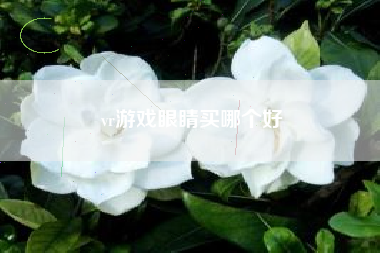 vr游戏眼睛买哪个好
