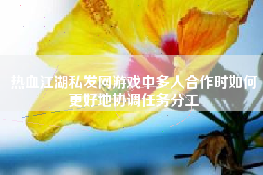 热血江湖私发网游戏中多人合作时如何更好地协调任务分工