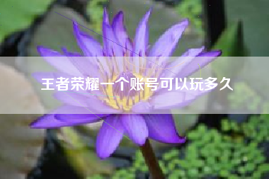 王者荣耀一个账号可以玩多久