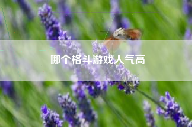 哪个格斗游戏人气高