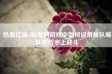 热血江湖sf私发网游戏中如何运用舰队编队进行水上战斗