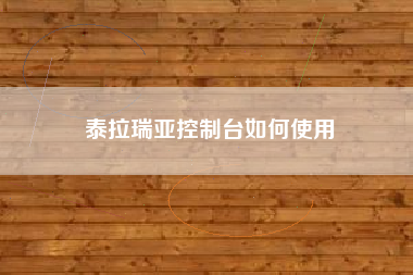 泰拉瑞亚控制台如何使用
