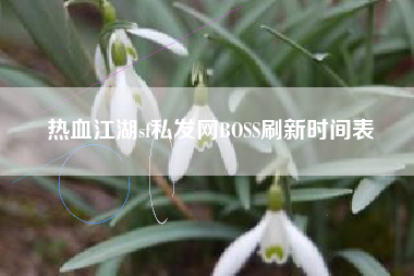 热血江湖sf私发网BOSS刷新时间表
