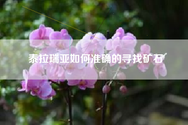 泰拉瑞亚如何准确的寻找矿石