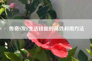 传奇S发F生活技能的高效利用方法