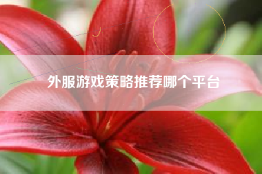 外服游戏策略推荐哪个平台