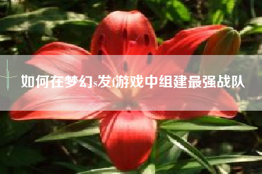 如何在梦幻s发f游戏中组建最强战队