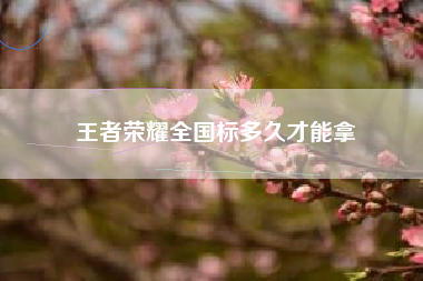 王者荣耀全国标多久才能拿