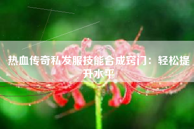 热血传奇私发服技能合成窍门：轻松提升水平