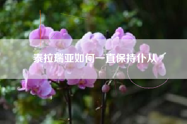 泰拉瑞亚如何一直保持仆从