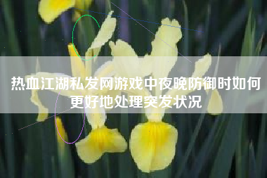 热血江湖私发网游戏中夜晚防御时如何更好地处理突发状况