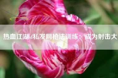 热血江湖sf私发网枪法训练：成为射击大师