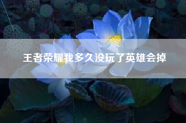 王者荣耀我多久没玩了英雄会掉