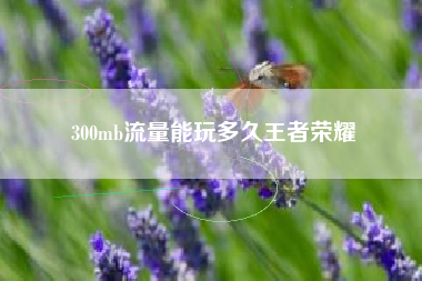 300mb流量能玩多久王者荣耀
