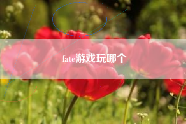 fate游戏玩哪个