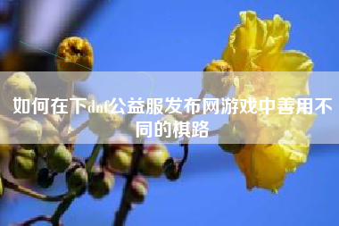 如何在下dnf公益服发布网游戏中善用不同的棋路