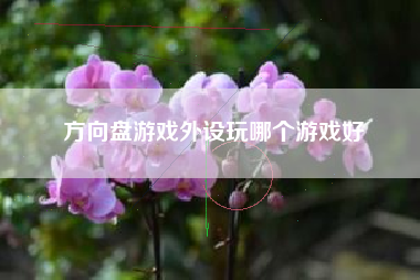 方向盘游戏外设玩哪个游戏好