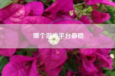 哪个游戏平台最稳